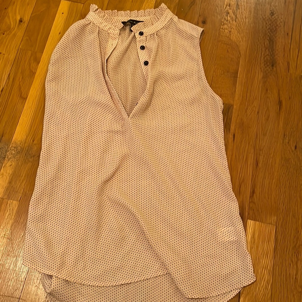 EUC Jasmine & Julianna sheer polka dot top!